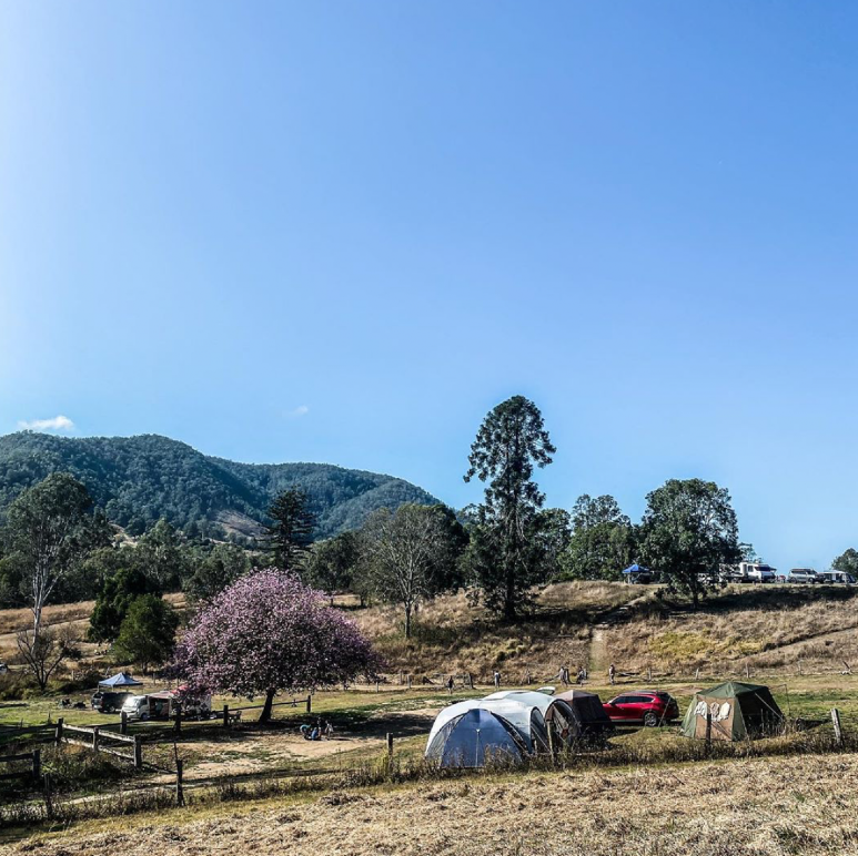 Take A Breath Of Fresh Air With These Sunshine Coast Camping Spots ...